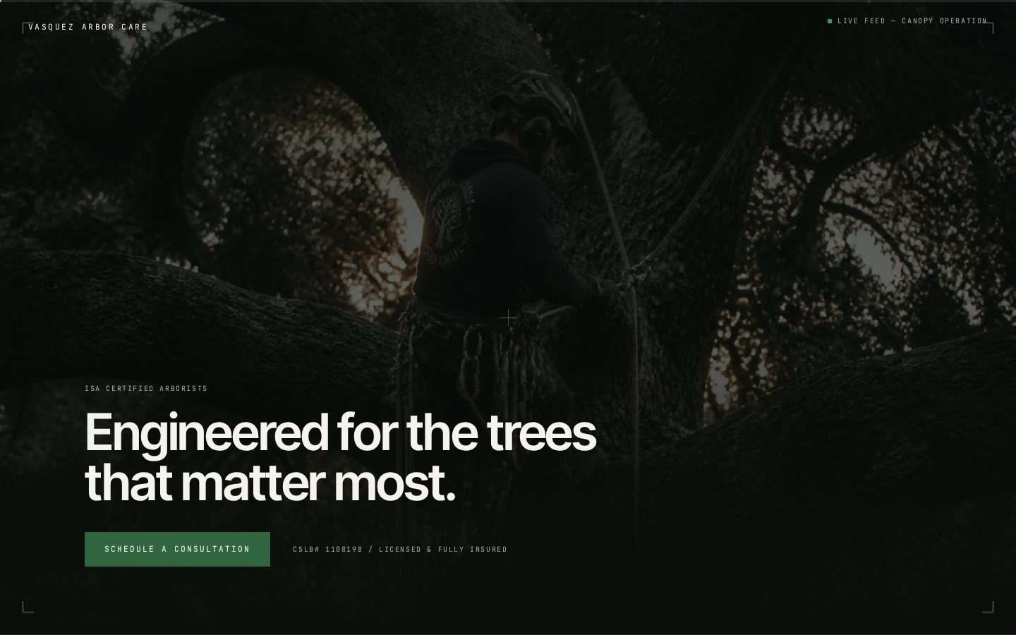 Homepage preview of the Vasquez Arbor Technical website